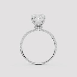 Radiant Pavé Halo